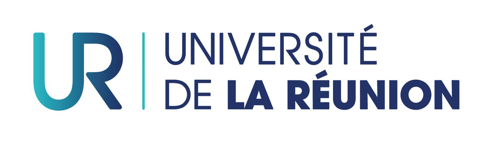 UNIVERSITÉ DE LA RÉUNION

IUT · ESIROI